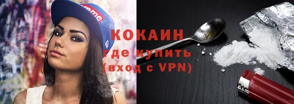 тгк Инсар