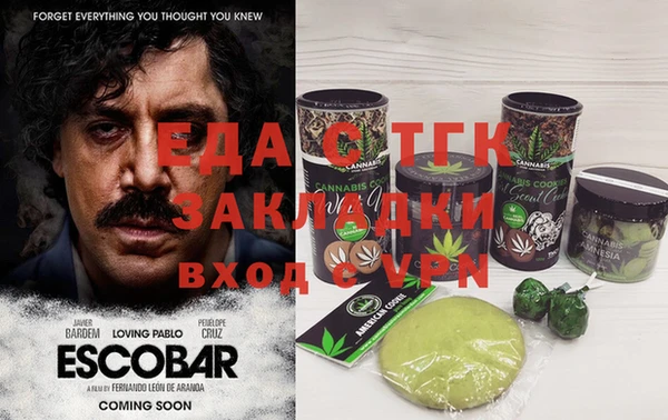 тгк Инсар