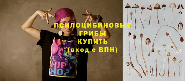 тгк Инсар