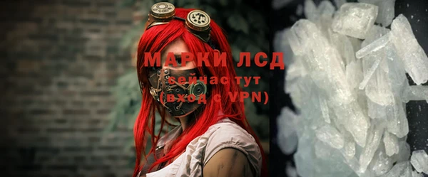 тгк Инсар