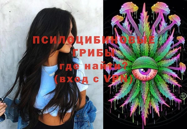 гидра Иннополис