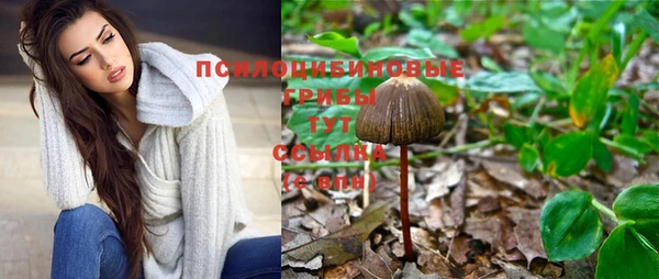 гидра Иннополис