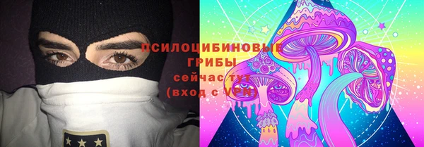 тгк Инсар