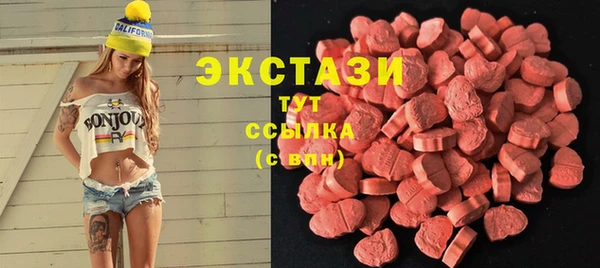 тгк Инсар